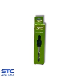 دنباله گردبر کوچک ولف